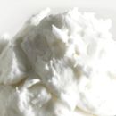 Yogurt